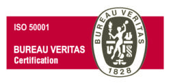 ISO 50001 01 e1744731115221
